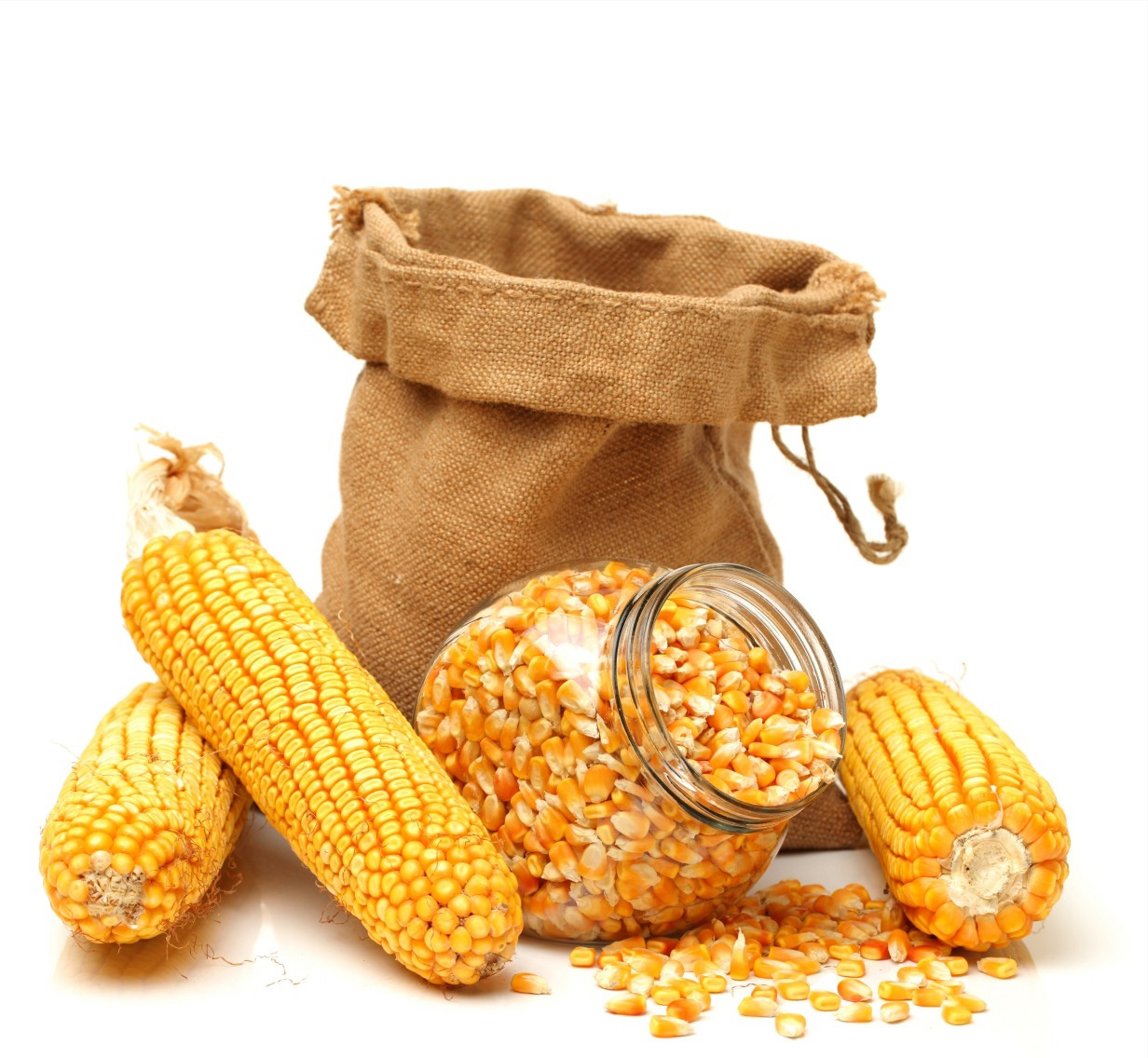 Corn-Grain-NEW